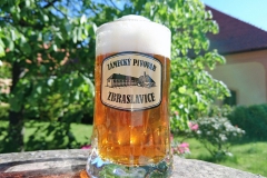 zbraslavice_pullitr