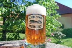 zbraslavice_pullitr