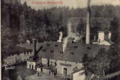 Hartenberk_Hřebeny-zámek-a-zámecký-pivovar-okolo-r.-1900