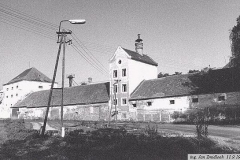 Mačice Zámecký 02