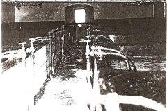 Plasy Zámecký pivovar historické snímky (Luděk Gasseldorfer , archiv p. Štruncové) kvasné kádě