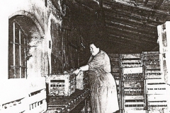 Plasy Zámecký pivovar historické snímky (Luděk Gasseldorfer , archiv p. Štruncové) lahvárna